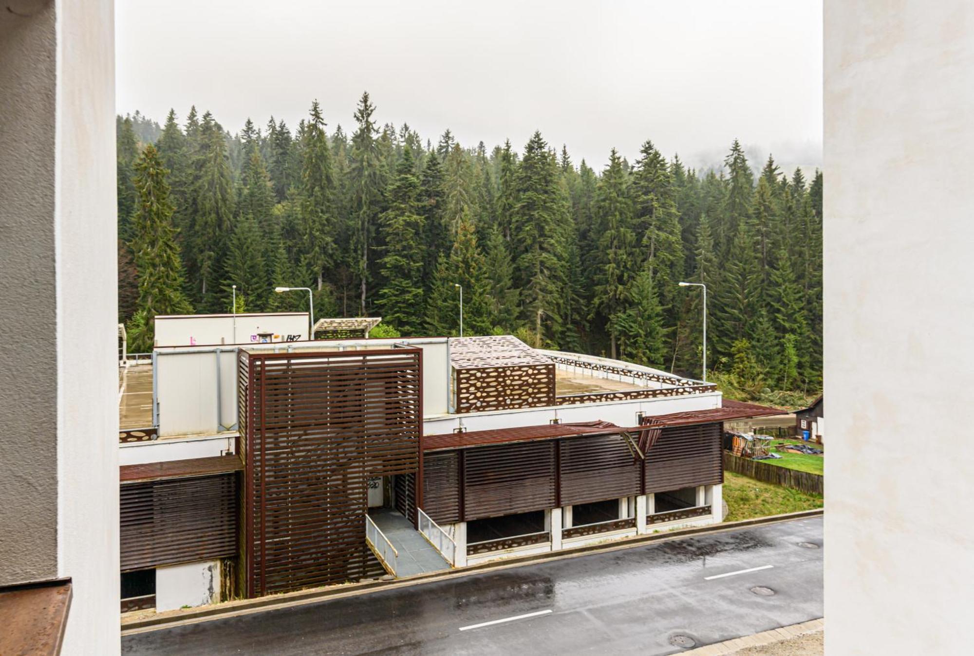 Alpin Clabucet Studio Predeal Exteriör bild